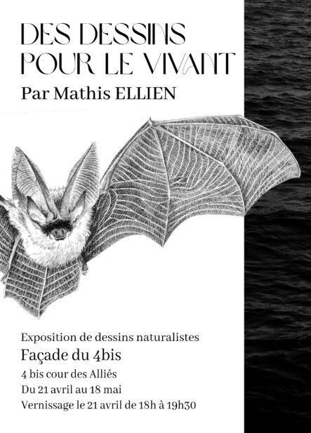 Exposition “Des dessins pour le vivant”